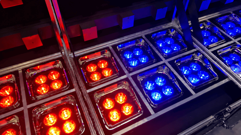 LED Fixtures and Uplighting | AV Hire | The Aventive Group